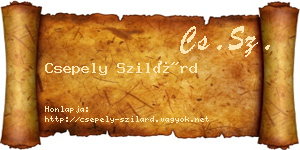 Csepely Szilárd névjegykártya